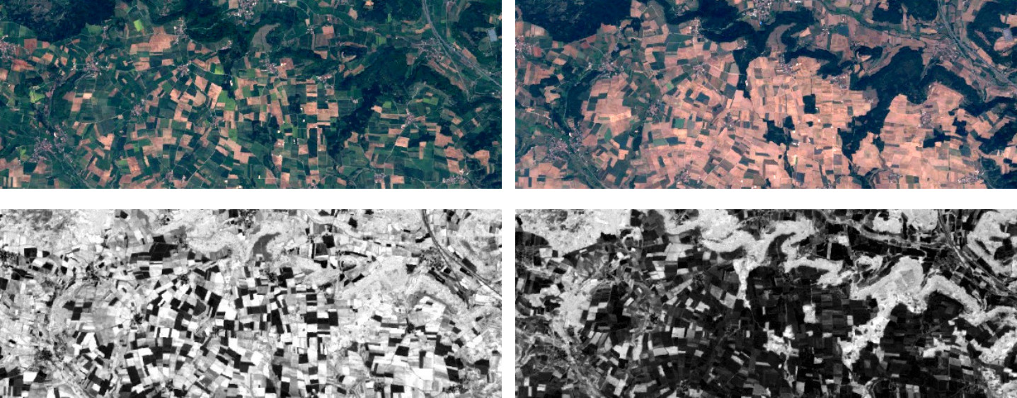Remote Sensing for Assessing Drought Insurance Claims in Central Europe